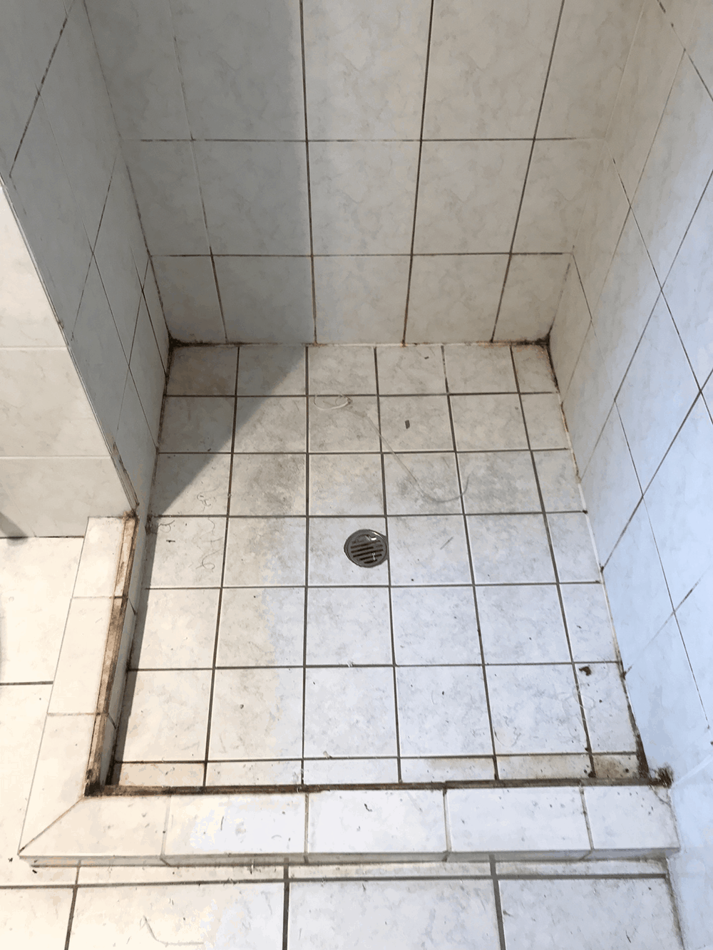 Mouldy Grout – Do you have a Mouldy Showers?
